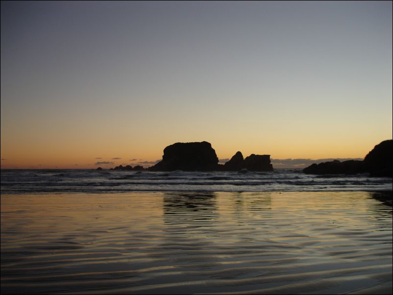 DSC01371_seal colony cape foulwind westport
